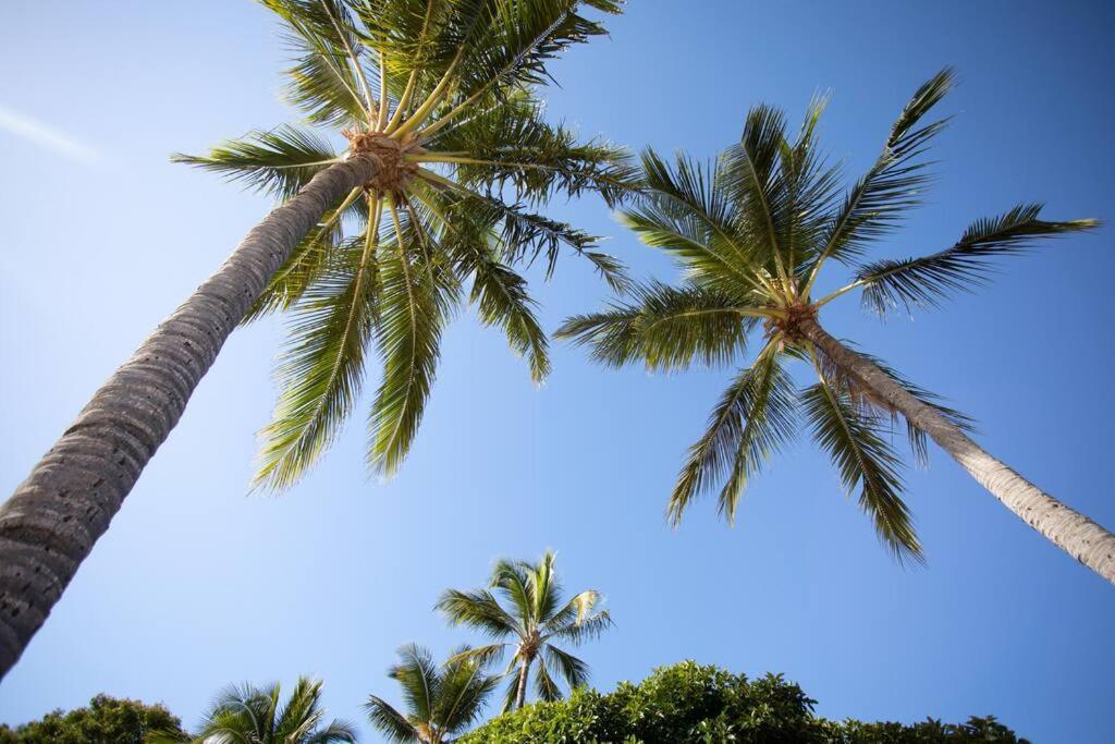 Airlie Sun & Sand Motel Accommodation #4 Airlie Beach Exterior foto